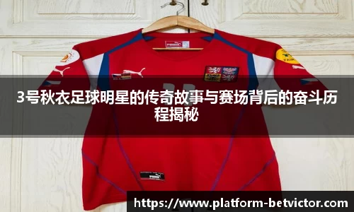 3号秋衣足球明星的传奇故事与赛场背后的奋斗历程揭秘